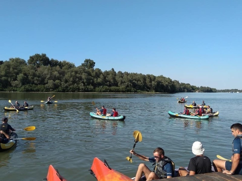 Kajakaški teambuilding