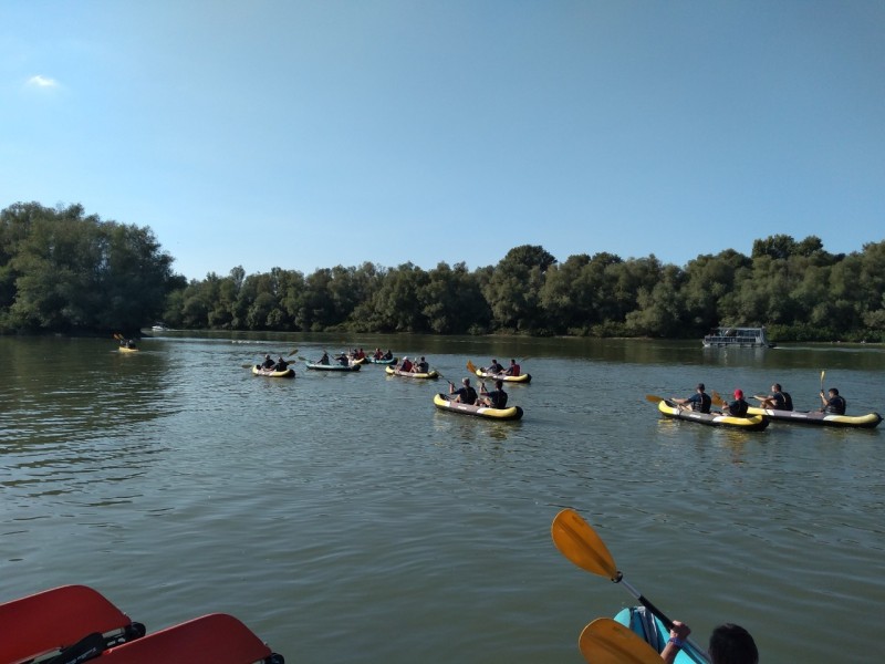 Kajakaški teambuilding