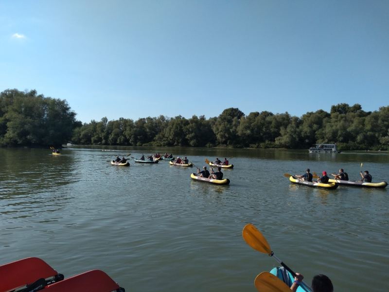 Kajakaški teambuilding
